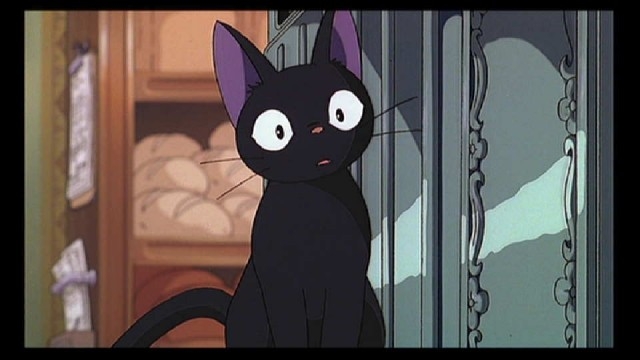 猫飼ってる人あるある