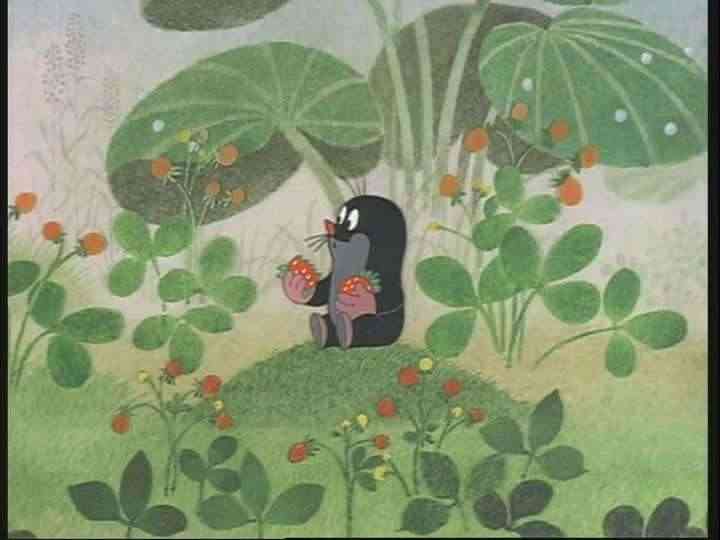 果物を最後に食べたのはいつですか？