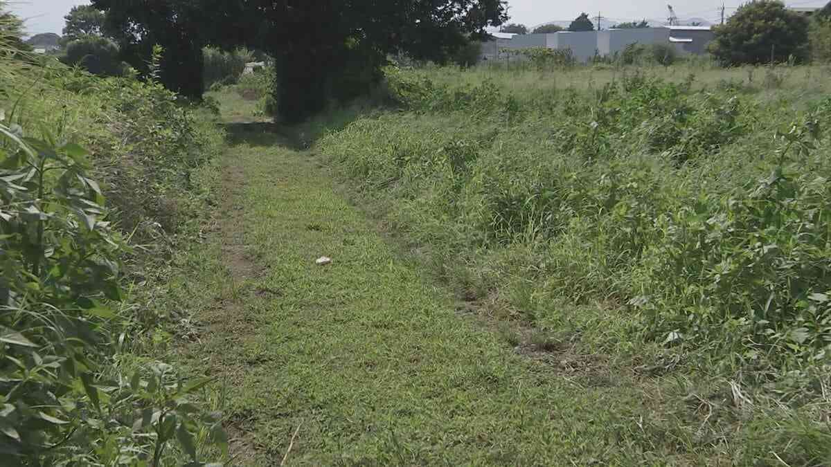 死因は「頭部打撲による脳挫傷」と判明　相模原市・高校2年男子生徒の死亡事件　車に乗っていた男らとトラブルか…傷害致死容疑も視野に捜査