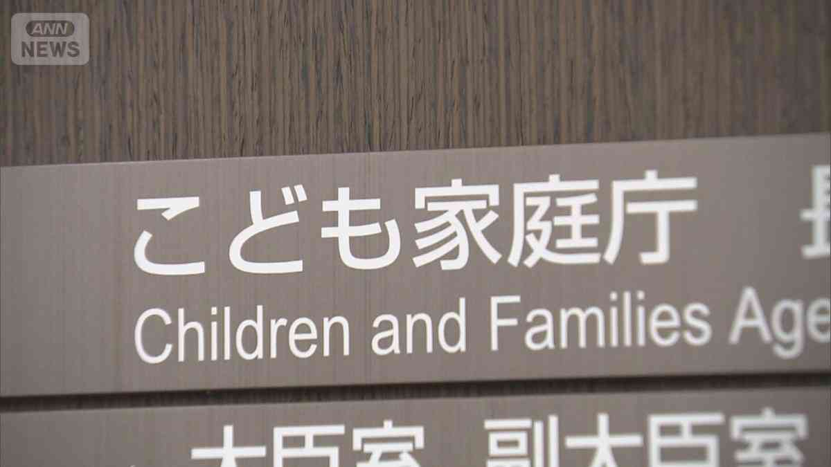 子ども・子育て支援金来年度から　年収800万円では月767円徴収　こども家庭庁
