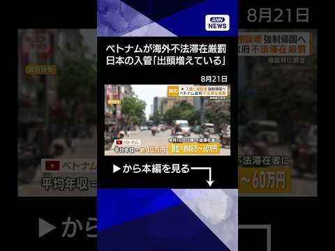 【ニュース】ベトナムが海外不法滞在の罰則強化へ　来月10日の施行前に日本の入管に出頭者増える #shorts