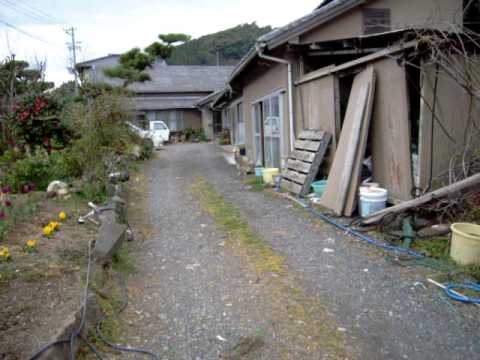 熱烈歓迎してくれる営業訪問先の犬