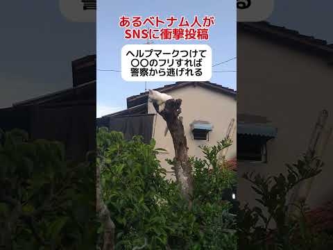 【怒り】あるベトナム人「ヘルプマークを使えば警察から逃げれる」 #shorts