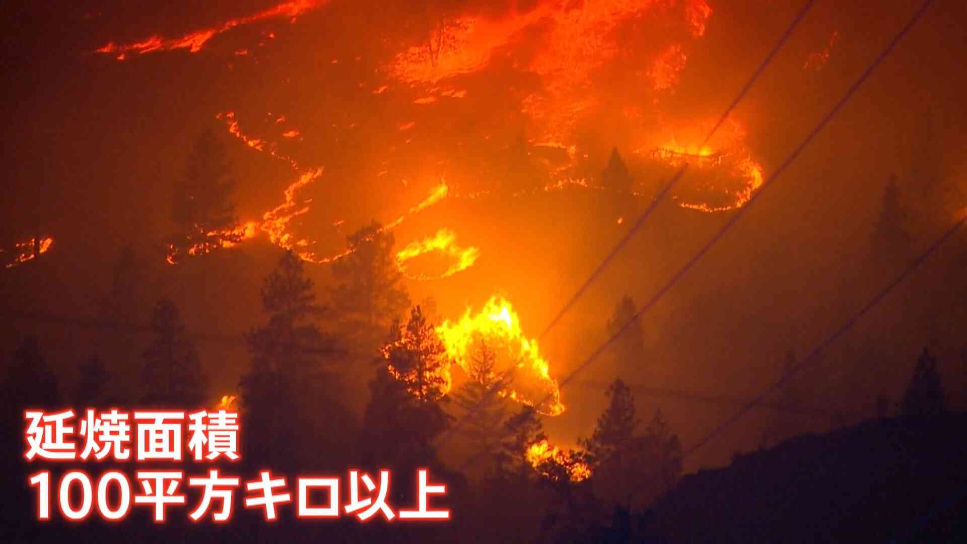 カナダ西部で相次ぐ山火事　半分近くが「制御不能な状態」で非常事態宣言発令　トランプ大統領「アメリカに有害な空気が流入」（TBS NEWS DIG Powered by JNN） - Yahoo!ニュース