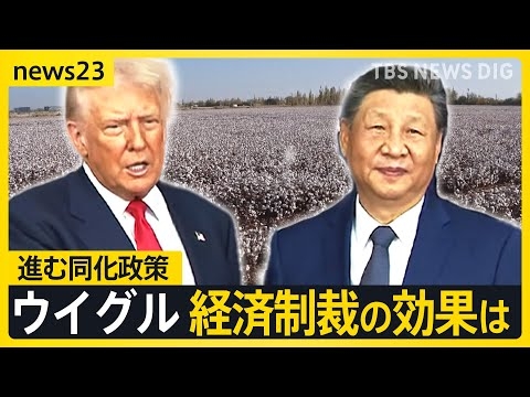 【忘れられたウイグル問題】進む「同化政策」モスクは壊され、漢族と「親戚」に【news23】｜TBS NEWS DIG