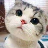 男性の排尿してる姿見ると興奮する。無防備で気持ち良さそうにおチンから尿をピュ... | ガールズちゃんねる - Girls Channel -
