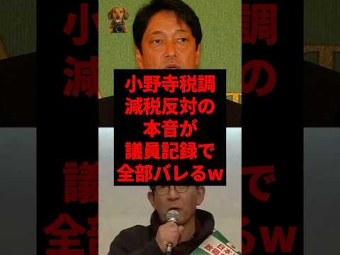 小野寺税調、減税反対の本音が議員記録で全部バレるw #shorts