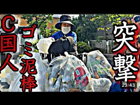 C国人が市街地のゴミを荒らしていたので突撃してみた！