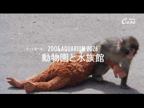 ニホンザルのパンチくんが暮らす〈市川市動植物園〉へ｜ZOO&AQUARIUM 2026 もっと学べる！動物園と水族館　#casabrutus