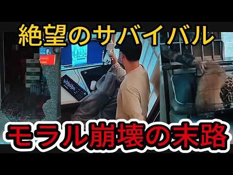【衝撃】中国で公開禁止となった動画....モラル崩壊の末路！金から下着まで盗む修羅の国
