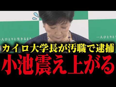 【小池百合子】癒着疑惑のカイロ大学長が逮捕...小池の学歴詐称疑惑が明るみに...【小池都知事 さとうさおり 都議会】