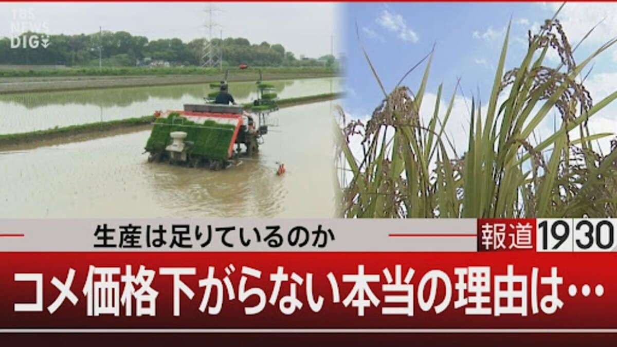 “コメの高止まりは流通の問題”はウソ　主食用のコメは40万トン減っている【報道1930】 | TBS NEWS DIG (1ページ)