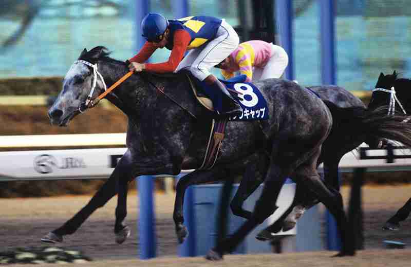 競馬について語ろう🏇【パート７】