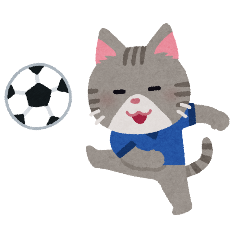 家でスポーツ観戦してるときあるある