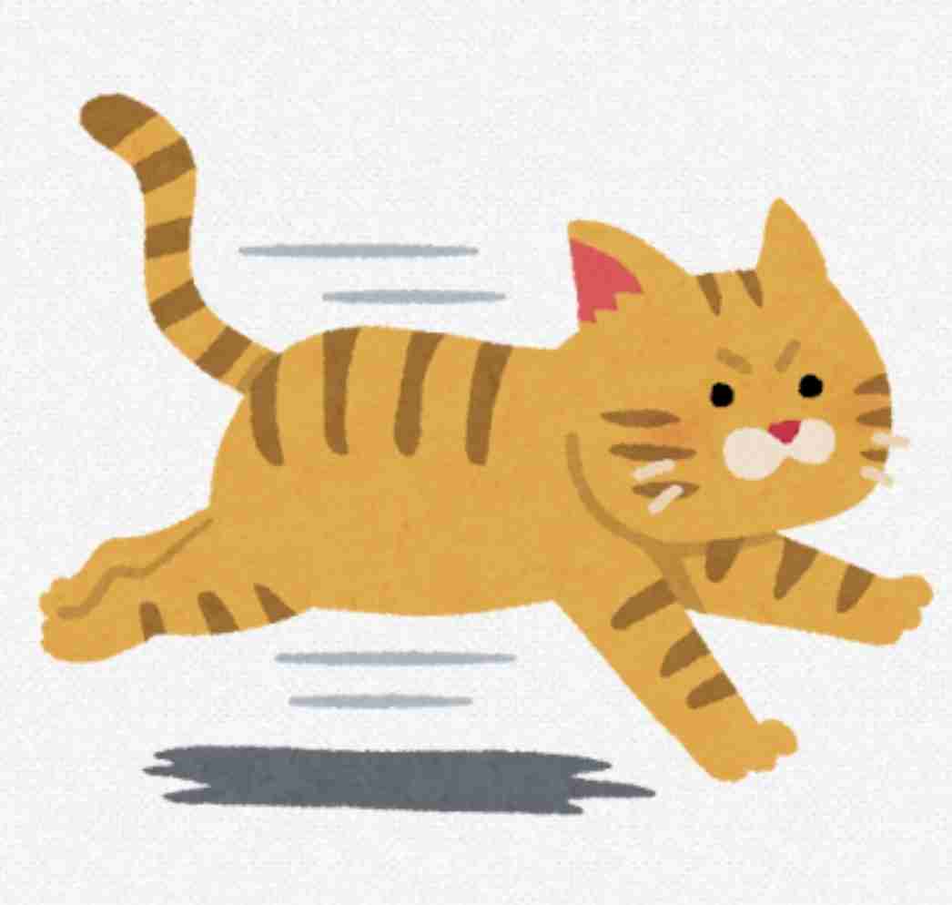 【猫飼いさん】ペットゲート設置してますか?