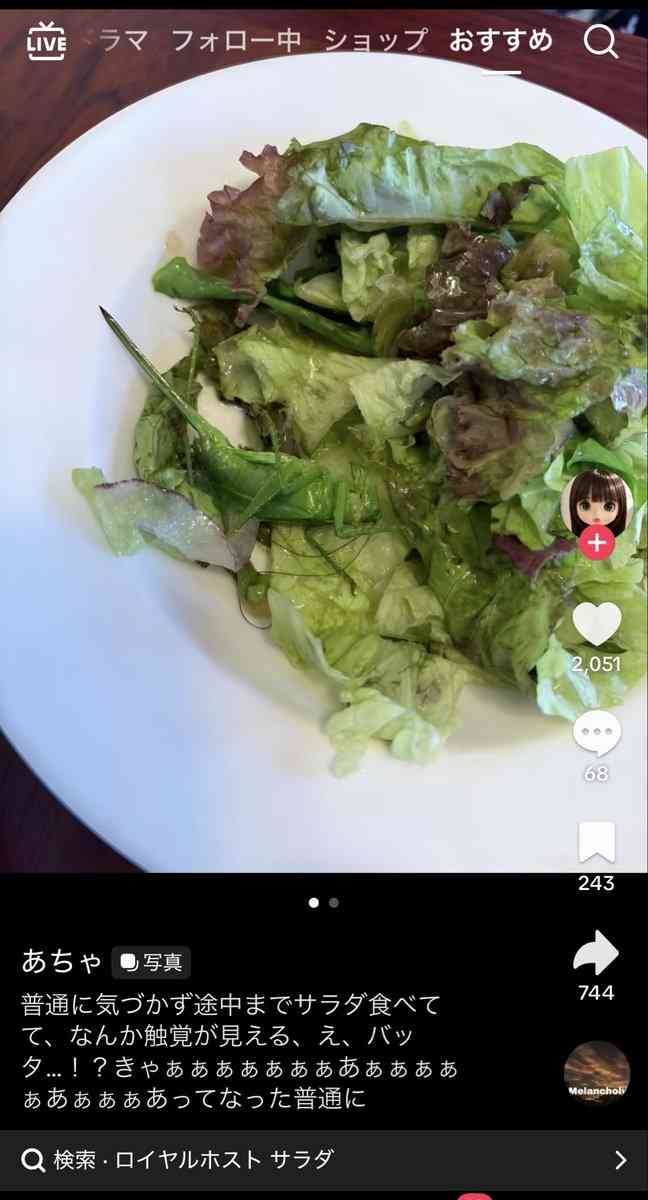 ロイヤルホストが謝罪、提供したサラダに虫が混入 「原因の特定には至っておりません」