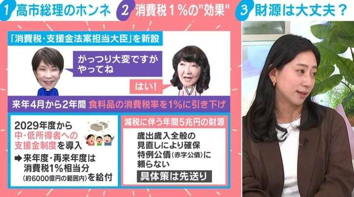 食料品の消費税率8%→1%でも「期待するほど物価は下がらない」? 財源だけじゃない懸念を専門家が指摘「企業が利益として手元に残す動きも」