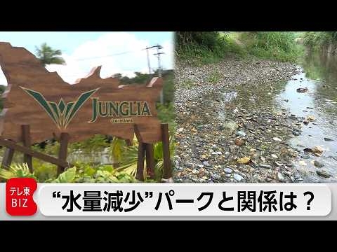 “ジャングリア沖縄”に隣接する地域の「水量減少問題」 開業前から懸念されてきた河川の水量 今は・・・事態の進展を追う【ガイア もう一つのエピソード】