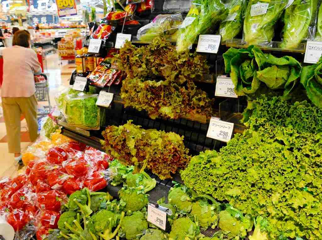 ハクサイやレタス…葉物野菜が高騰、欠品も　天候不順影響、福井県内スーパーでは普段の倍も　 | 経済,社会 | 福井のニュース | 福井新聞ONLINE