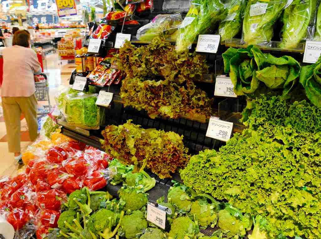 ハクサイやレタス…葉物野菜が高騰、欠品も　天候不順影響、福井県内スーパーでは普段の倍も　
