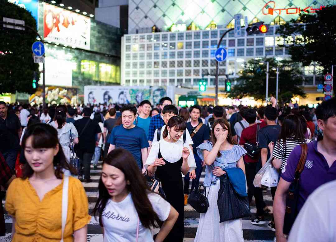 8割以上の日本語学校は