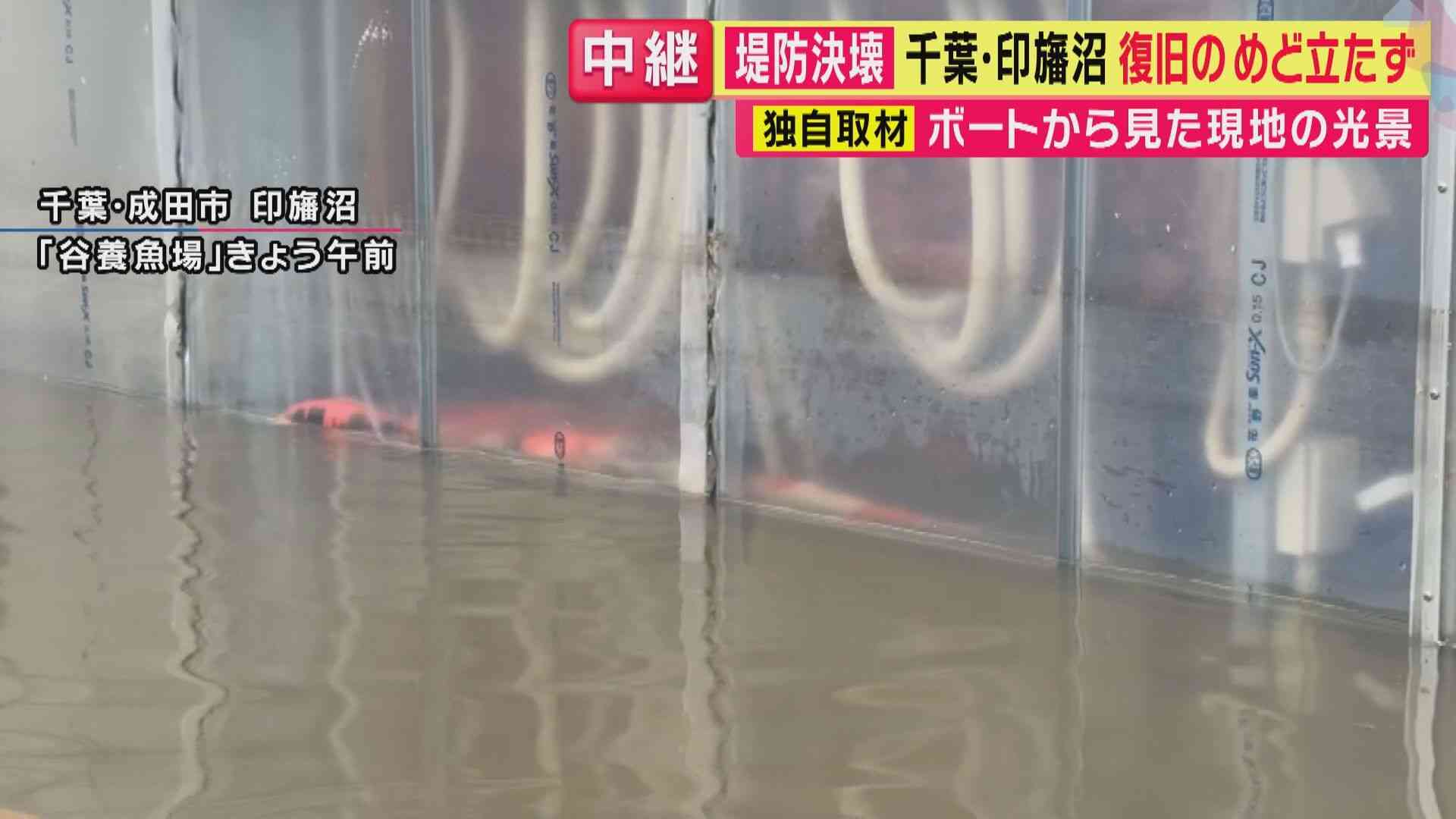 「水が引かないと何もできない」印旛沼・堤防決壊で65年の歴史ある養魚場が浸水 錦鯉など約10万匹が“逃げ出し”被害総額は10億円にも 養魚場の代表「魚の回収ほぼ不可能」 復旧見通し立たず