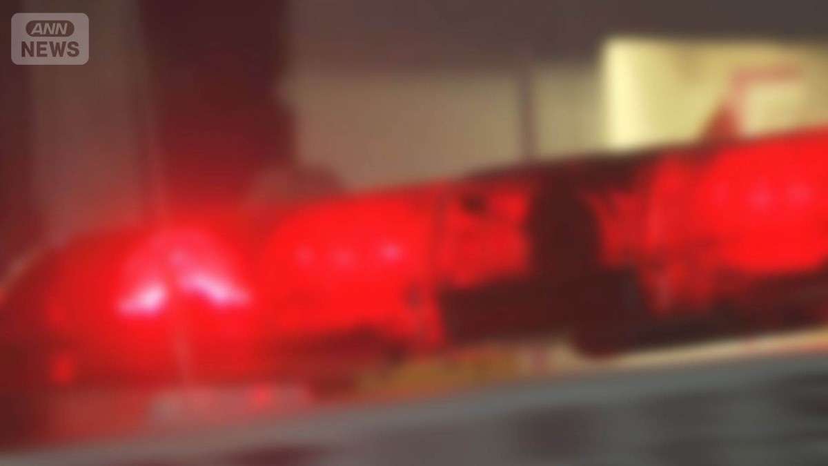 「元夫にボコボコにされた」元妻の通報後に助けに来た女性への殺人未遂か　25歳男逮捕