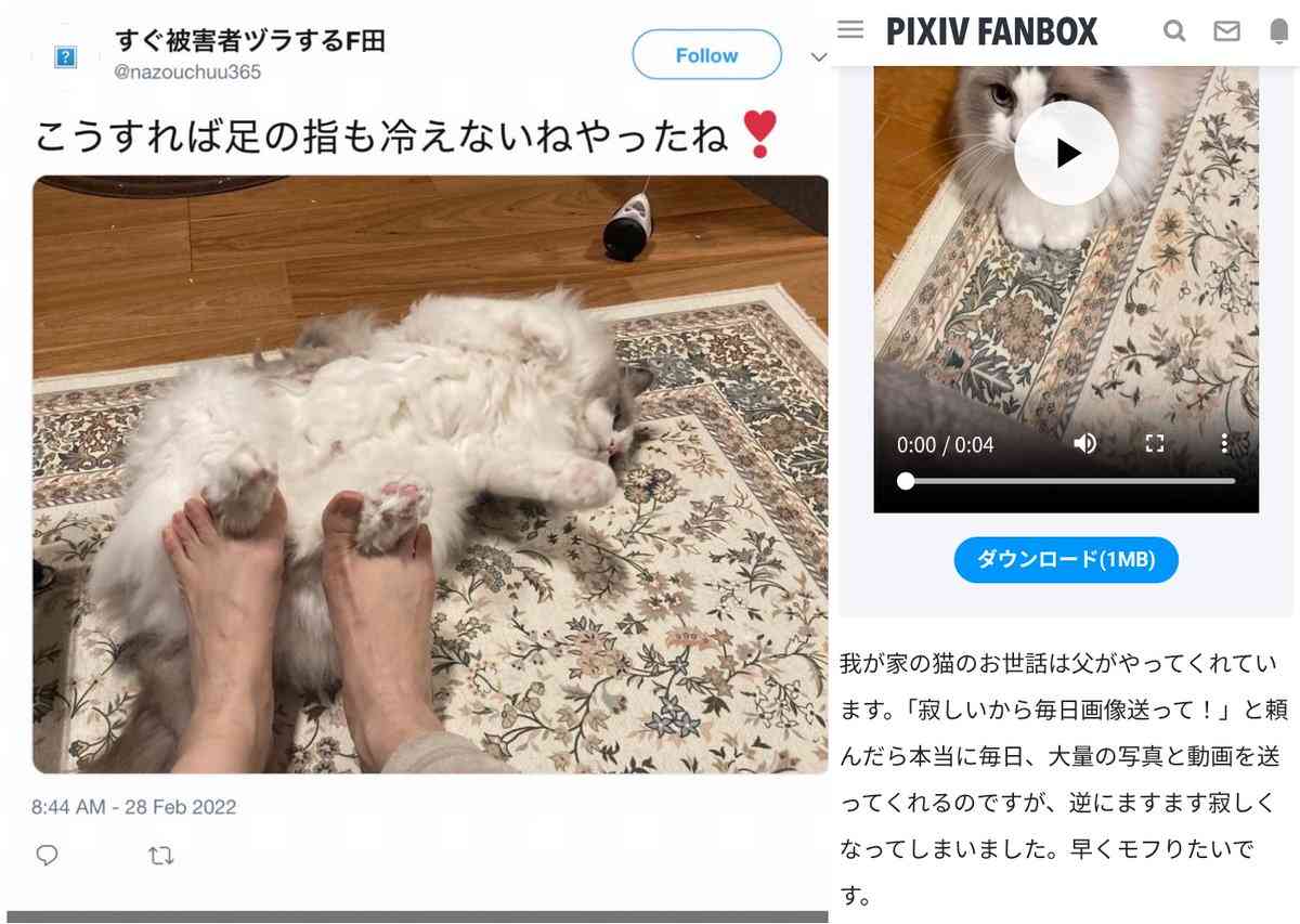 『みいちゃんと山田さん』作者の自宅特定か 過激化する「ねね巡礼」とネット私刑の恐怖