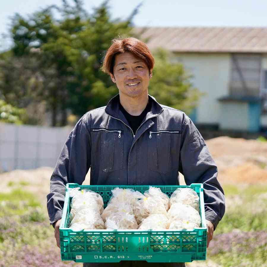       希少な国産白ヒラタケ「信州プルロット」｜山梨の産直ならイナカカラ                   – Inakakara    