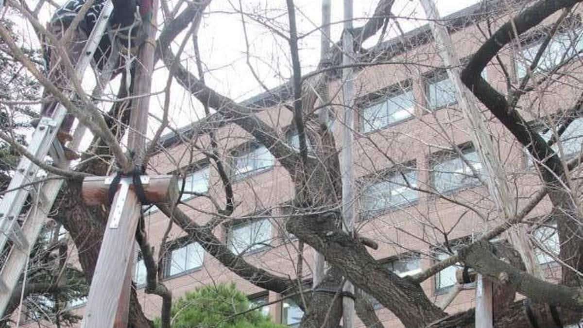 高校職員、ハムスター25匹殺した罪認める　10年ほど前からクラッシュ動画撮影、販売 - 産経ニュース