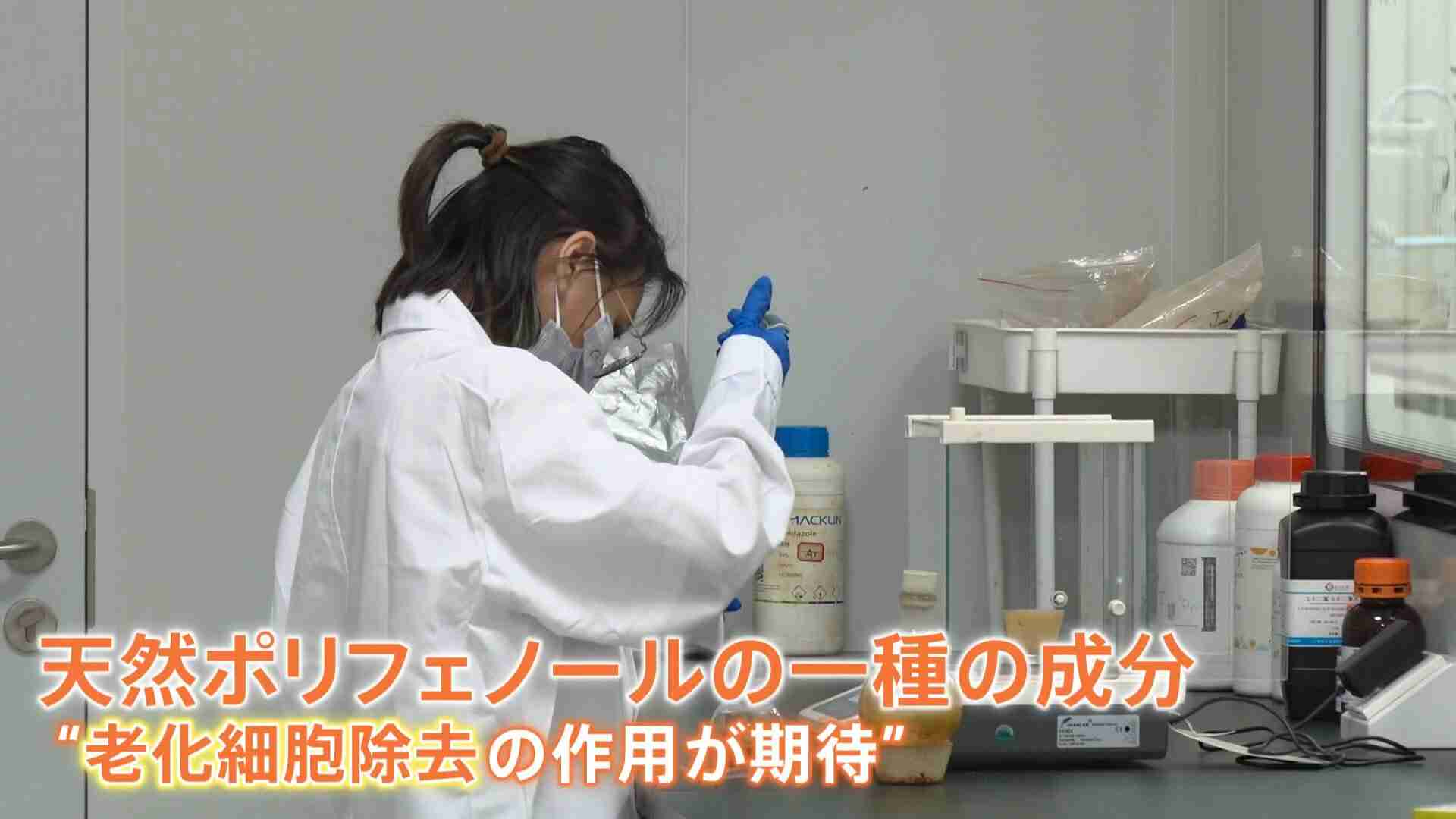 3日分で約4万円のサプリ登場　中国で広がる“長寿ビジネス”に街では懐疑的な声も… 人への効果や安全性の検証に課題（TBS NEWS DIG Powered by JNN） - Yahoo!ニュース