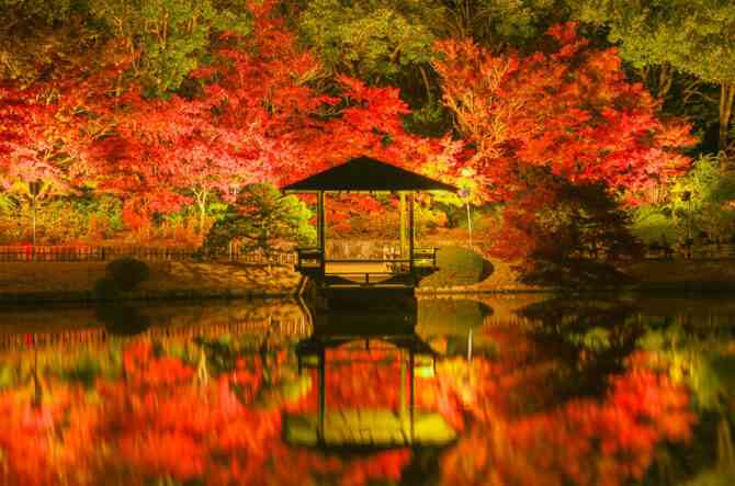 10月に旅行の予定がある方〜！