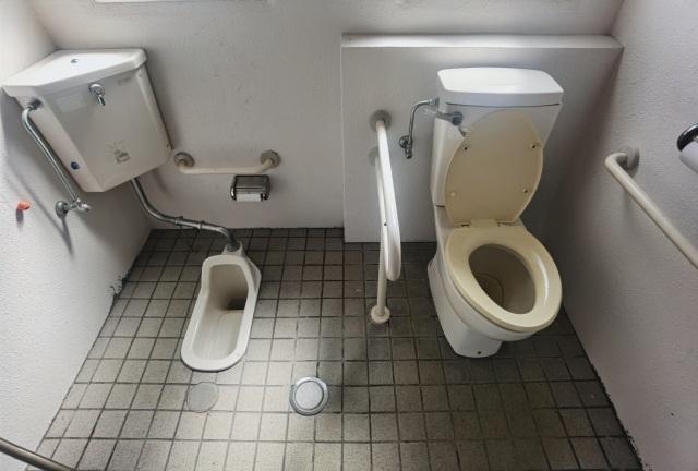 《娘が“漏れる”と泣き出しそうに》女性トイレの大行列、空いている「和式」を誰も使わない現実…「うんこ座りができてエラい」と言われた母親の複雑な胸中｜NEWSポストセブン
