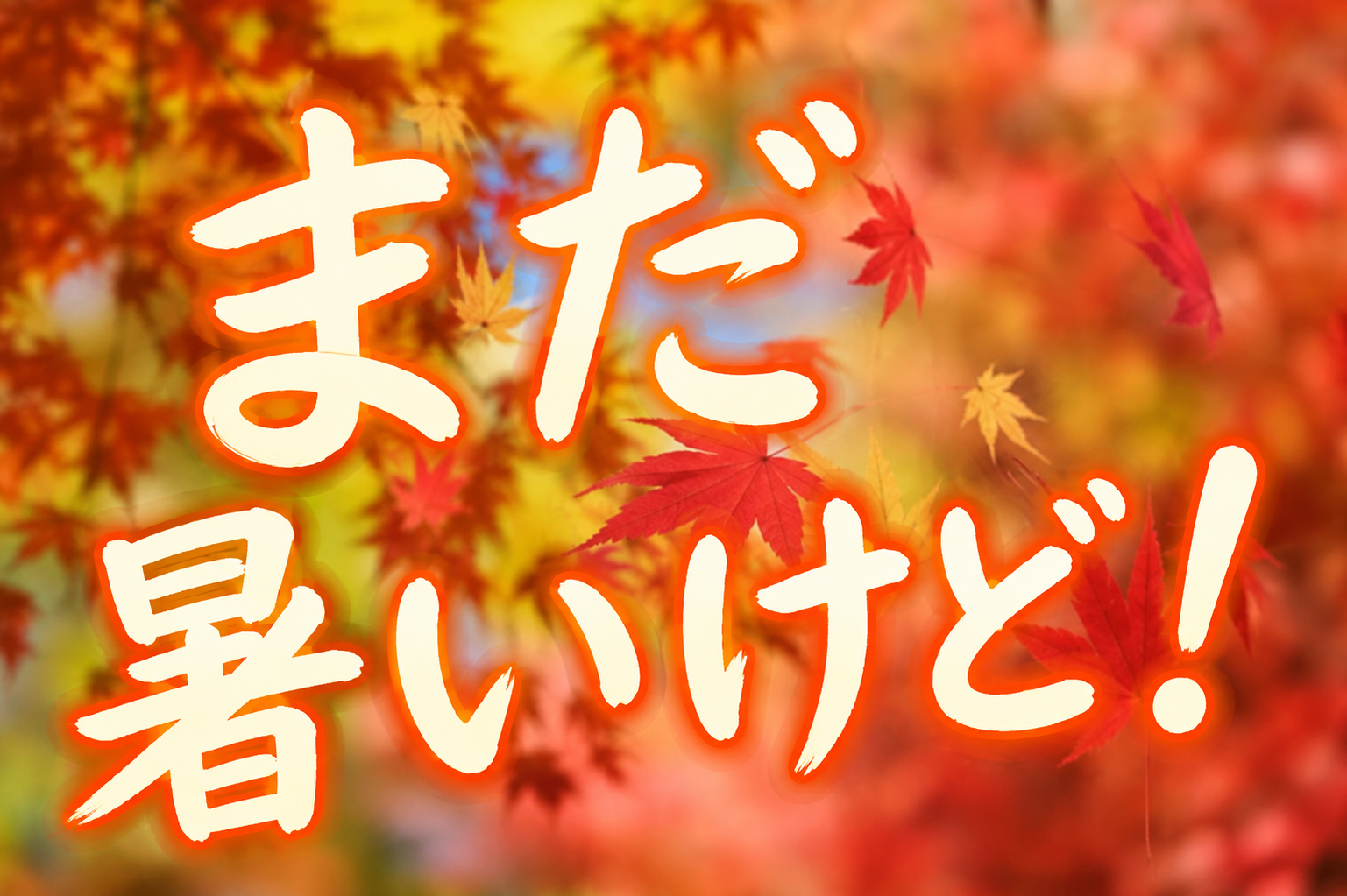 暑がりさんの秋?