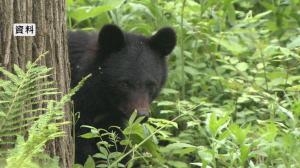 「クマと5分ほど格闘した」キノコ採りの61歳男性が顔面や全身に傷　親族の家へ逃げ込み救急搬送　警察が付近の住民に注意呼びかけ　 | 長野県内のニュース | NBS 長野放送
