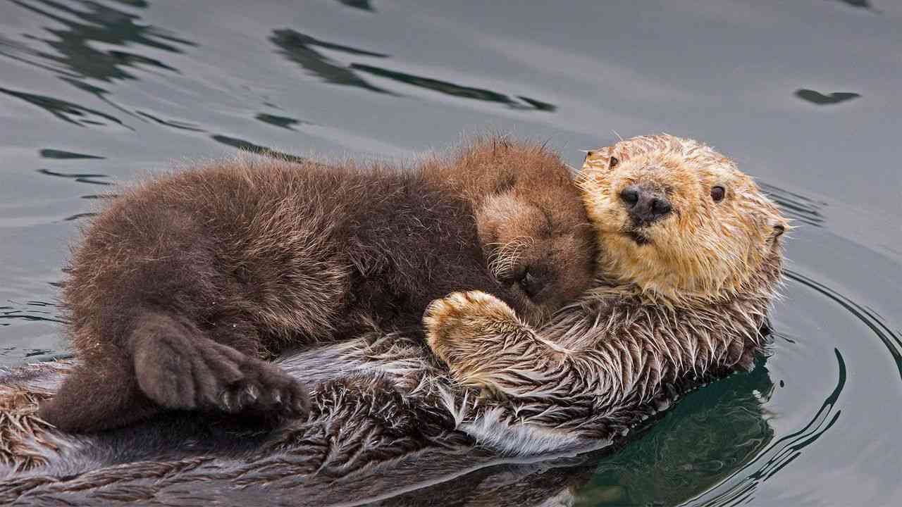 【妄想】「なりたい、そういうふうに」って対象、ありますか?