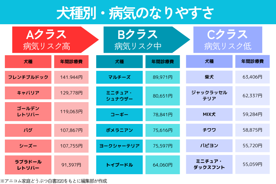 小型犬をお迎えしたい!