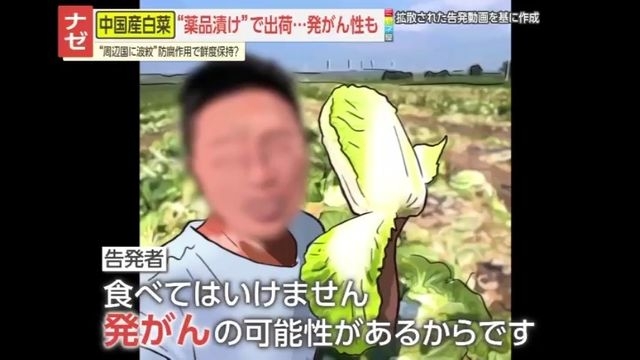 【告発】「本当に狂っています」中国で白菜をホルムアルデヒドに漬けて出荷　地元政府も事実認める｢輸送中の鮮度保持が目的｣　発がん性指摘も…日本への影響は？（読売テレビ） - Yahoo!ニュース