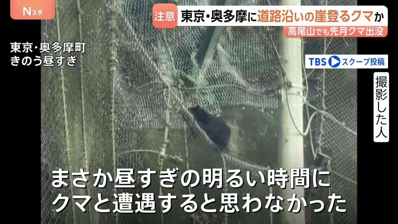 都内でクマ出没か「黒いものが前を」…道路沿いの崖を軽やかに登る様子 キャンプや登山で観光客多く訪れる東京・奥多摩町で