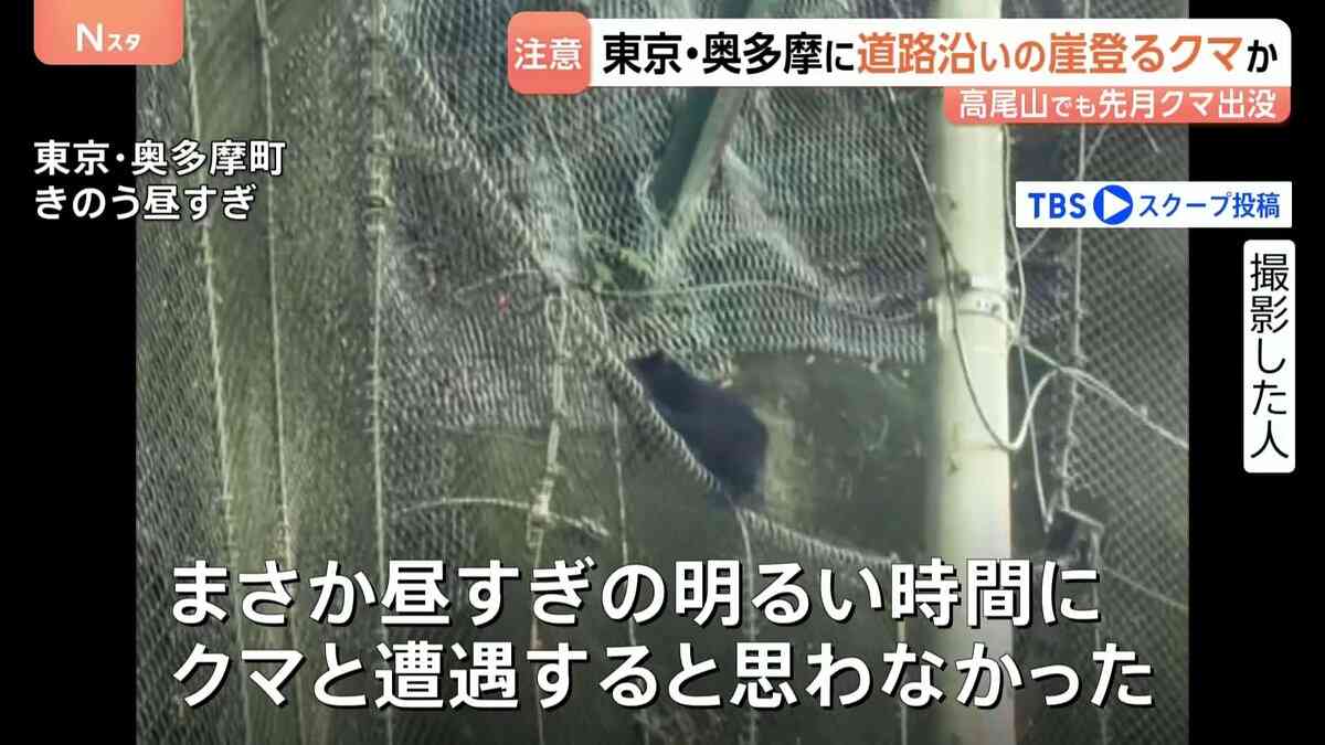 都内でクマ出没か「黒いものが前を」…道路沿いの崖を軽やかに登る様子　キャンプや登山で観光客多く訪れる東京・奥多摩町で | TBS NEWS DIG