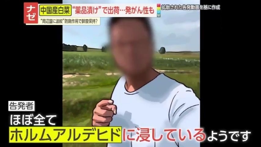 【告発】「本当に狂っています」中国で白菜をホルムアルデヒドに漬けて出荷 地元政府も事実認める「輸送中の鮮度保持が目的」 発がん性指摘も…日本への影響は?