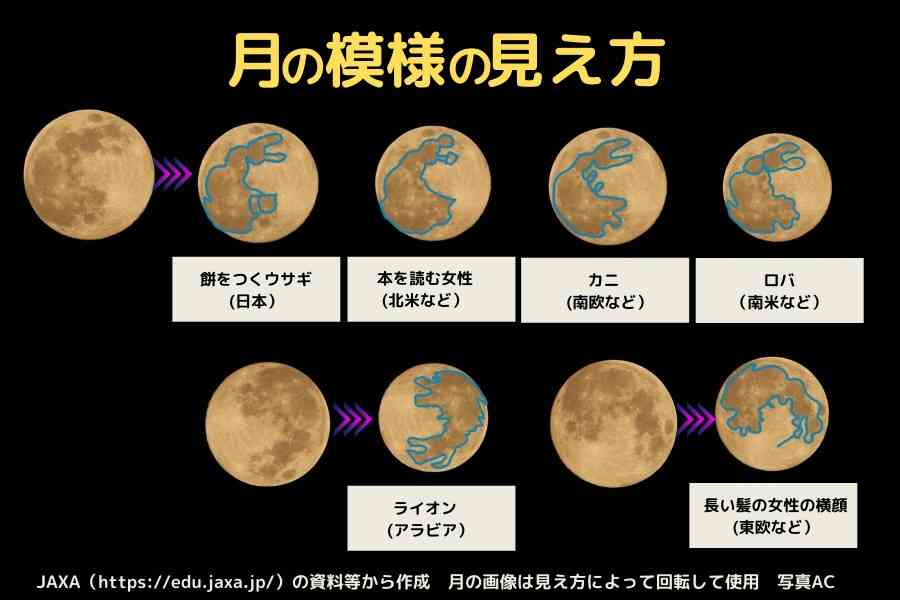 【中秋の名月】月について知っていること