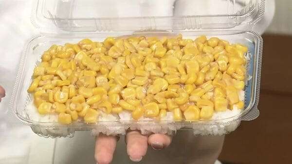 ローソンが“○○だけ”のコスパ追求「一点グルメ」弁当発表　“コーンだけ”や“サケだけ”具材1種で価格最大5割安