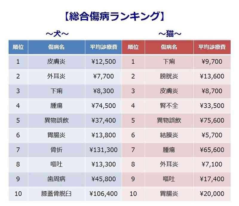 「時間とお金に余裕がない人はペットを飼うなってこと？」かなり厳しそうな状況で大型犬をお迎えしようとしている人の話に「飼ってはダメ」の声が相次ぐ