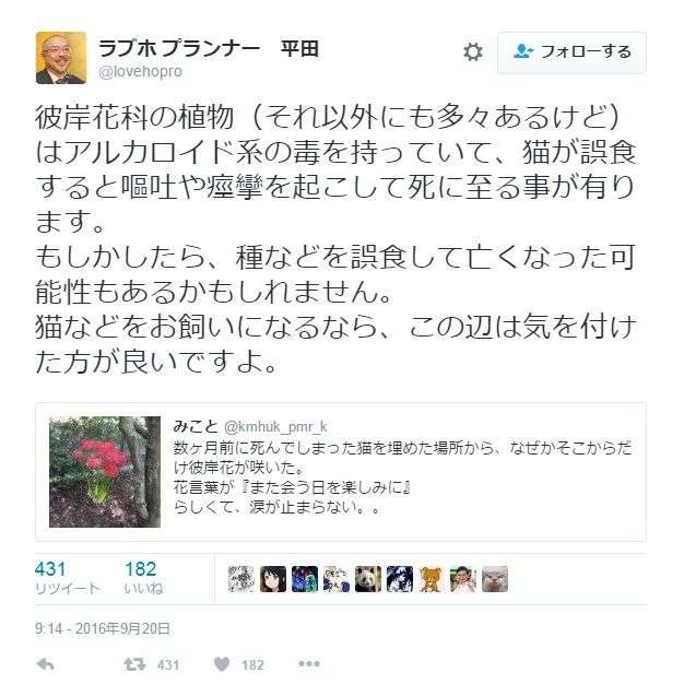 彼岸花の不思議な話・怖い話