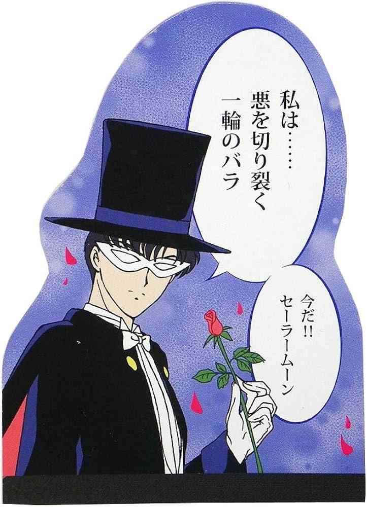 セーラームーンのアニメ見てた時、タキシード仮面って何の役に立つん?ってずっと思ってた「うさぎじゃなくて彼がヒロインなんです」