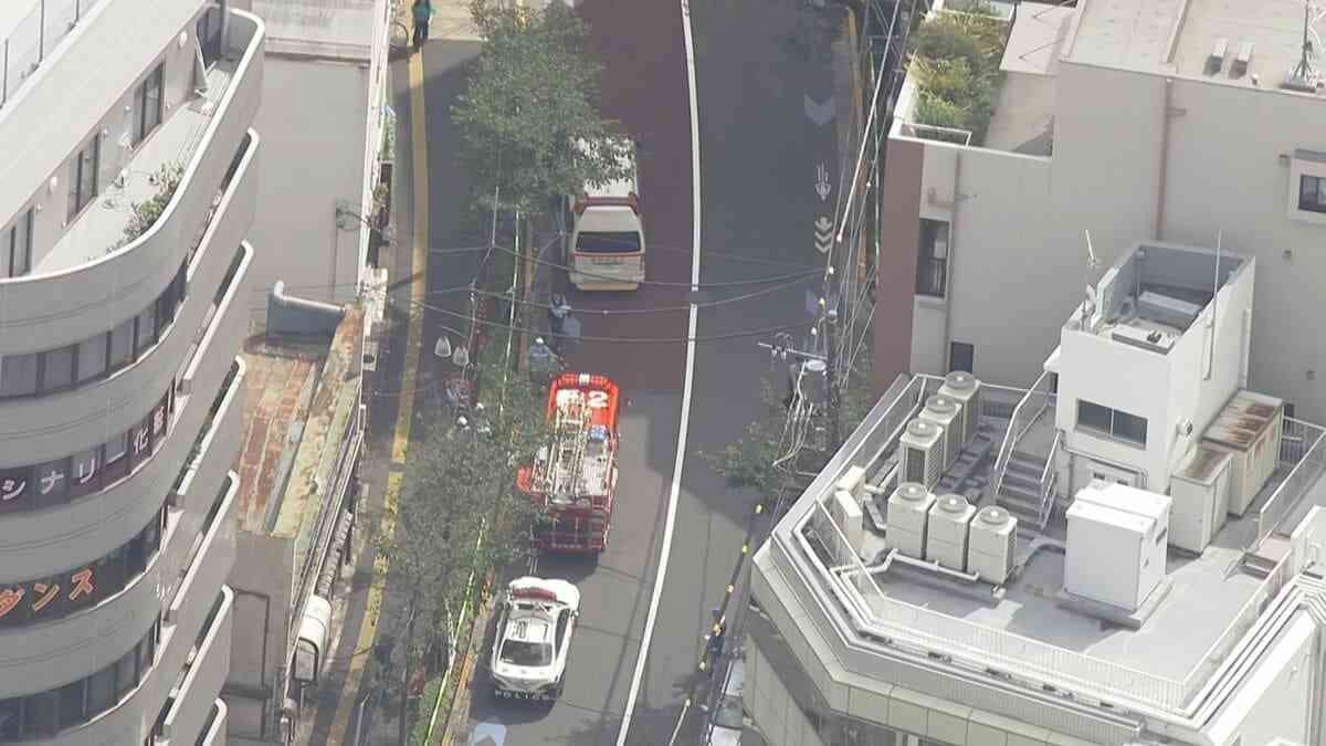 【速報】東京・北区「女が刃物を振り回し2人の胸を刺した」胸や太もも刺され男性2人けが 女を傷害の疑いで現行犯逮捕　JR板橋駅近く | TBS NEWS DIG