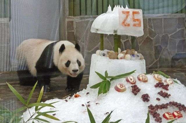 中国の「パンダ外交」、2頭がアトランタへ-訪米中の習近平氏が発表