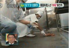 「韓国に嫁いで3年目、まだこのレベルの衝撃があるとは思わんかったんや」キッチンシンクで大量の生肉が水浸しの状態に…義母「シンクもお皿だと思ってる」