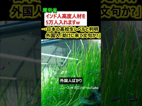 厚労省「インド人高度人材を5万人入れますw」→日本の高校生レベルと判明